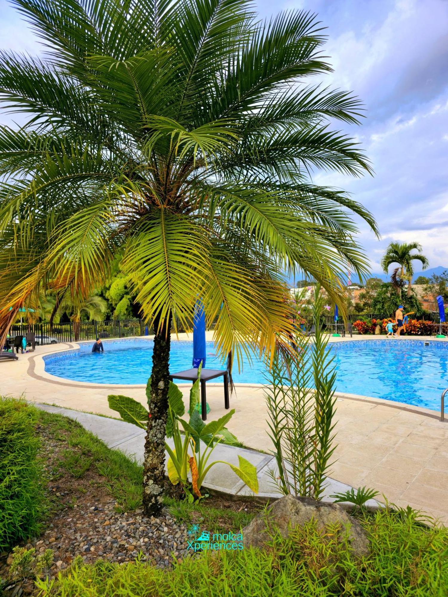 Apartamento Privado Vacacional A 5M Del Aeropuerto, 20 Minutos Del Parque Del Cafe Y Centro De Armenia Con 4 Piscinas, 3 Jacuzzi, Sauna By Molca Xperiences 3H Exteriör bild